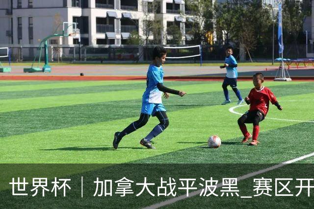 世界杯｜加拿大战平波黑 赛区开幕式表演“翻车”